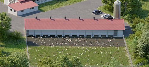 Capa separadora Lubratec para condiciones ideales del suelo en avicultura Condiciones óptimas del suelo gracias a la capa separadora Lubratec en avicultura